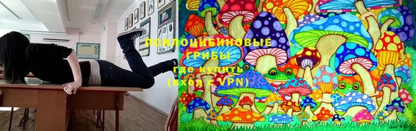 МДПВ Карталы