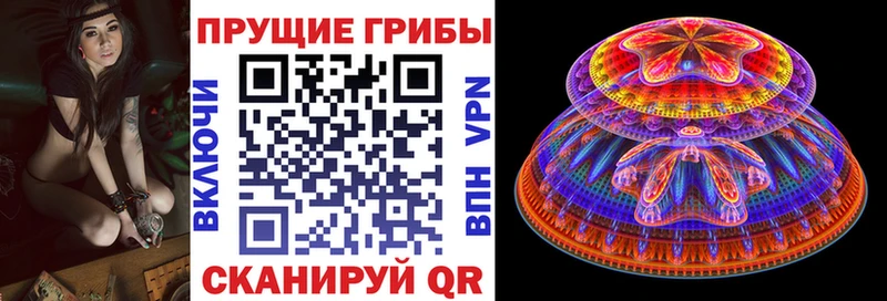 Псилоцибиновые грибы Magic Shrooms  Дмитриев 